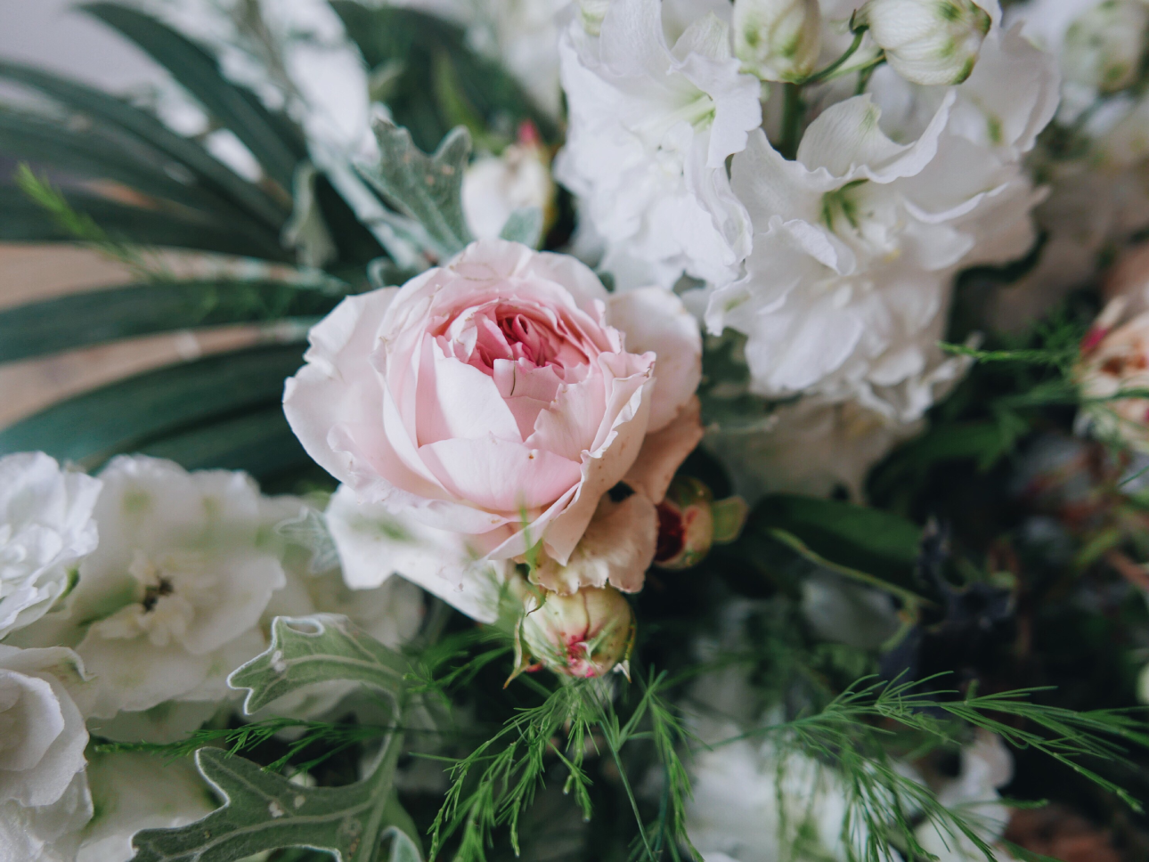 Fleurs Fleurs