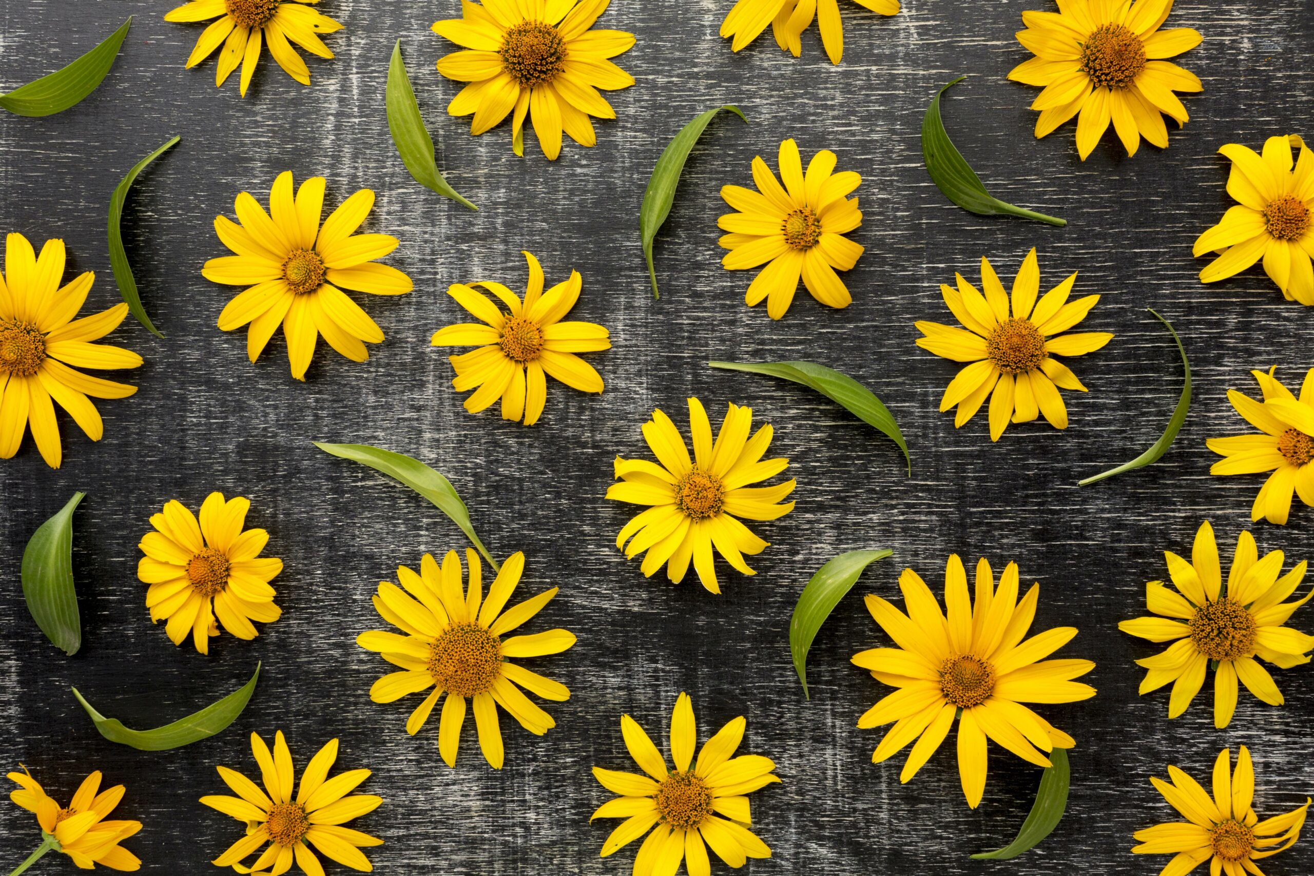 Fleurs Fleurs